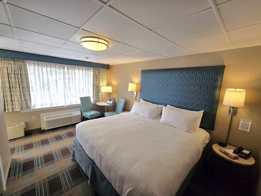 Premium Room, 1 King Bed