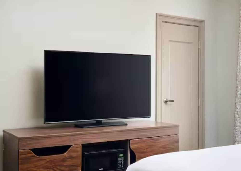 Studio Suite, 1 King Bed - Photo 4