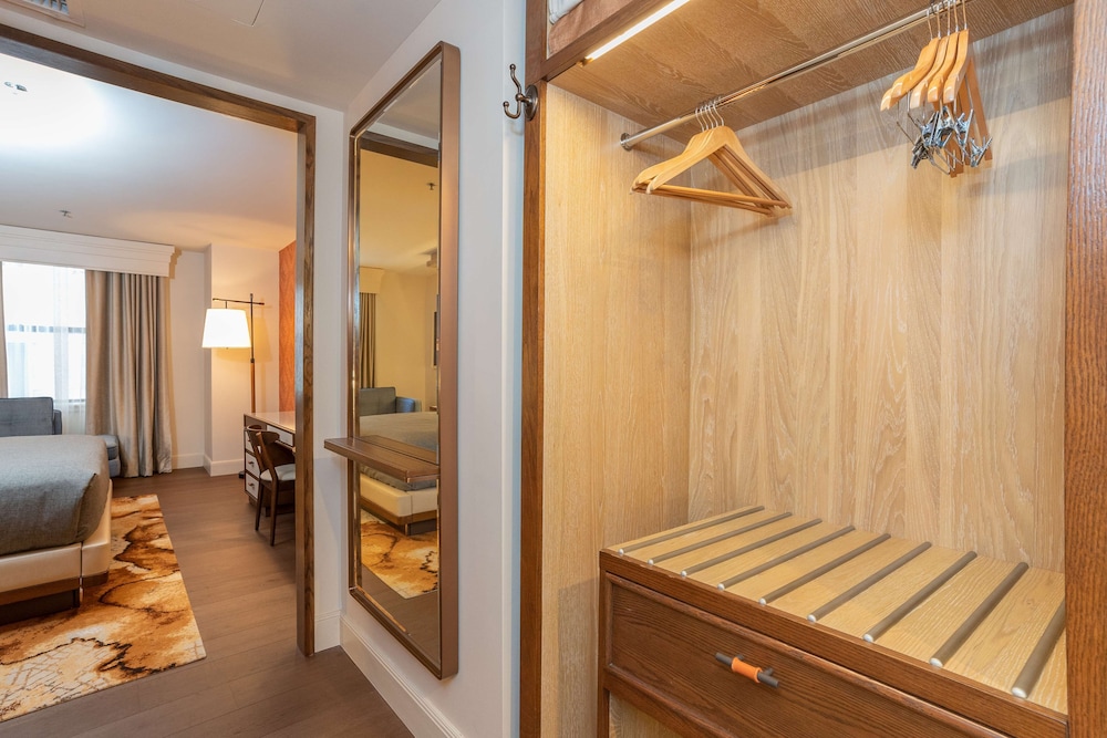 Premium Room, 1 King Bed - Photo 4