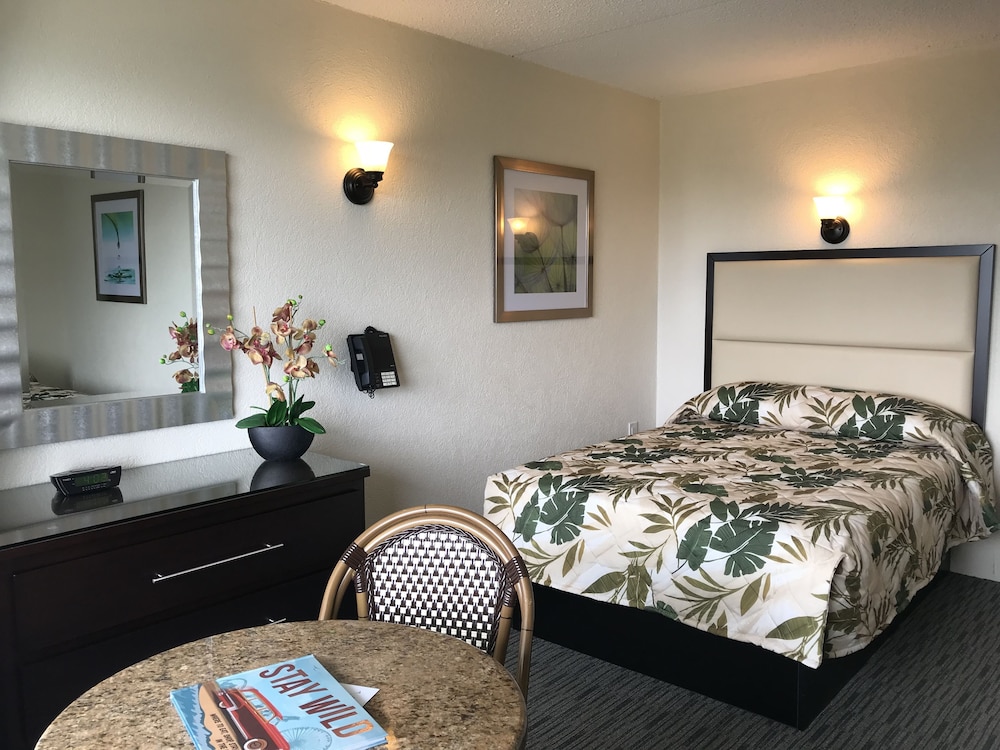 Poolside Motel Room, 2 dbl bed, Type C photo 3