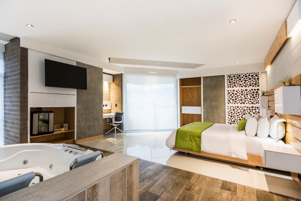 Junior Studio Suite, 1 King Bed, Jetted Tub, City View photo 3