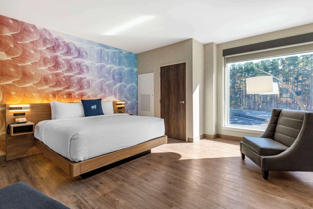 Suite, 1 King Bed, Non Smoking (Efficiency) - Photo 3