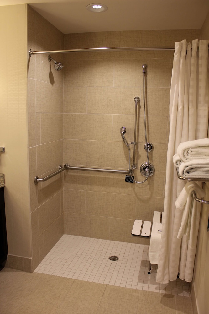 Suite, 1 King Bed, Accessible, Non Smoking (Roll-in Shower) - Photo 4