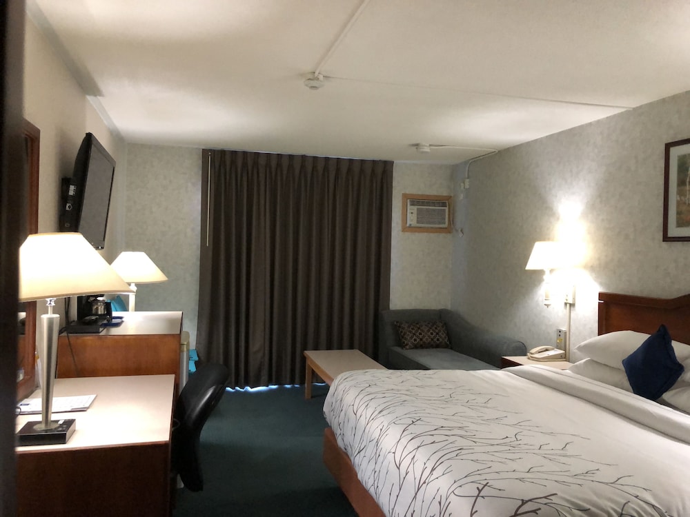 Deluxe Room, 1 King Bed, Non Smoking - Photo 11