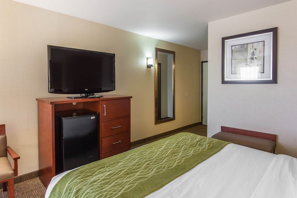 Standard Room, 1 King Bed, Non Smoking photo 3