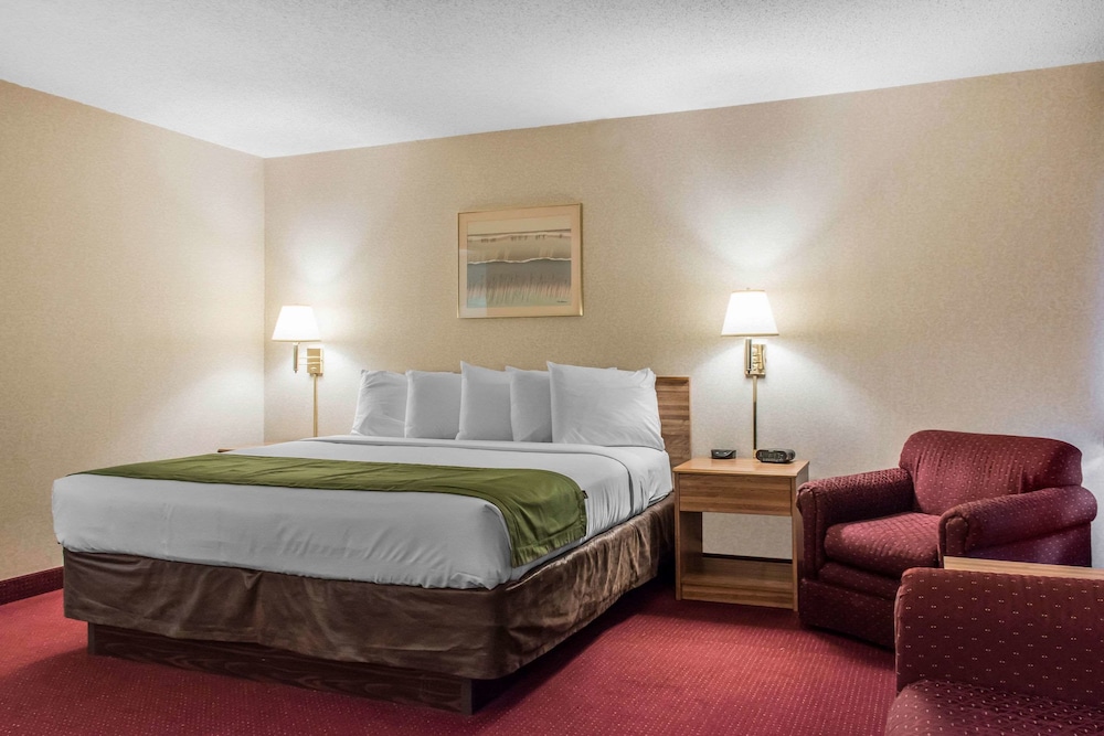 Suite, 1 King Bed, Non Smoking photo 1
