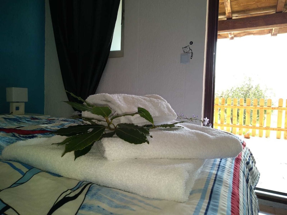 Basic Double Room, 1 King Bed, Accessible, Garden View