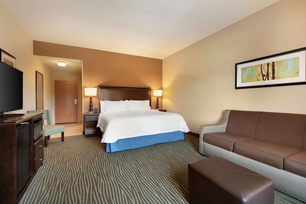 Room, 1 King Bed with Sofa bed, Refrigerator & Microwave photo 3