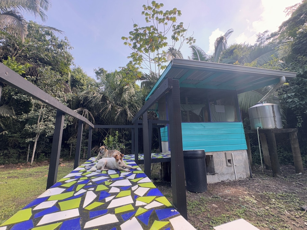Wild Cabana in Belize - Off-Grid Jungle Experience with Private Porch photo 2