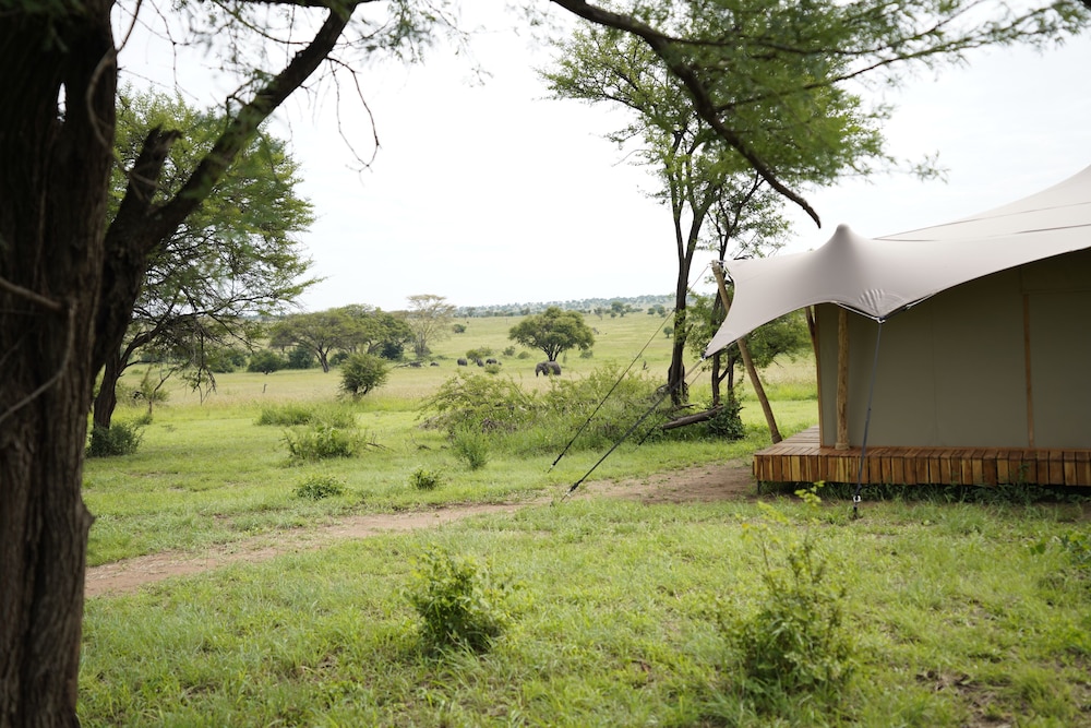 Luxury Tent - Photo 11