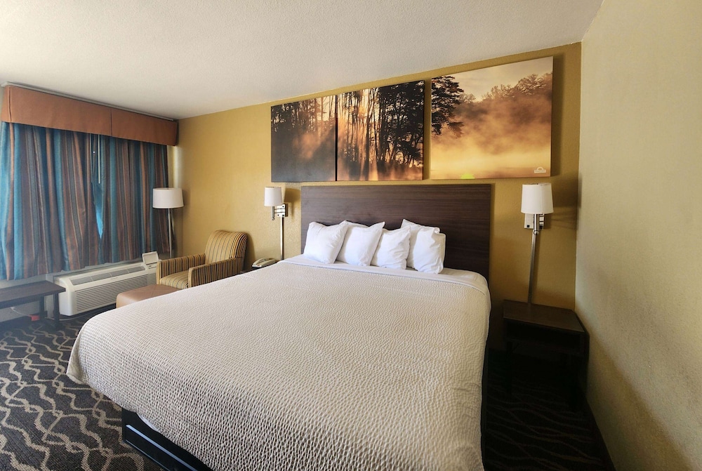 Room, 1 King Bed, Accessible, Non Smoking - Photo 3