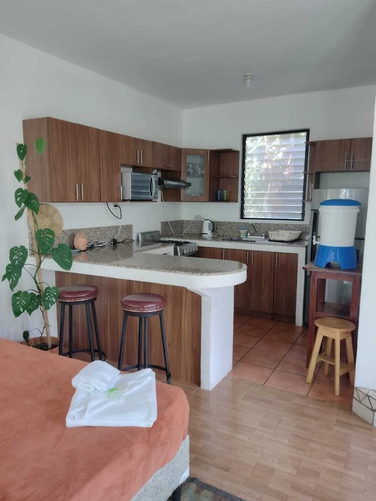 Deluxe Studio Suite, Kitchen, Mountain View photo 3