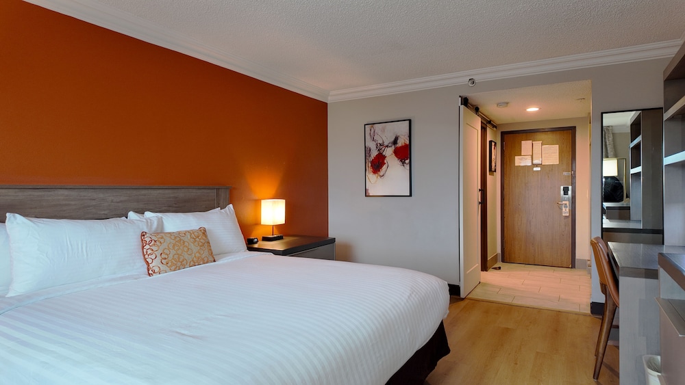 Deluxe Single Room, Non Smoking - Photo 5