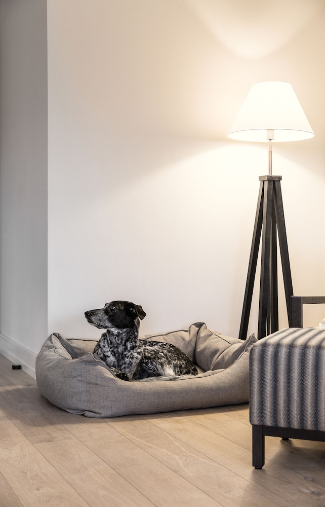 Suite, Multiple Beds thumbnail 6