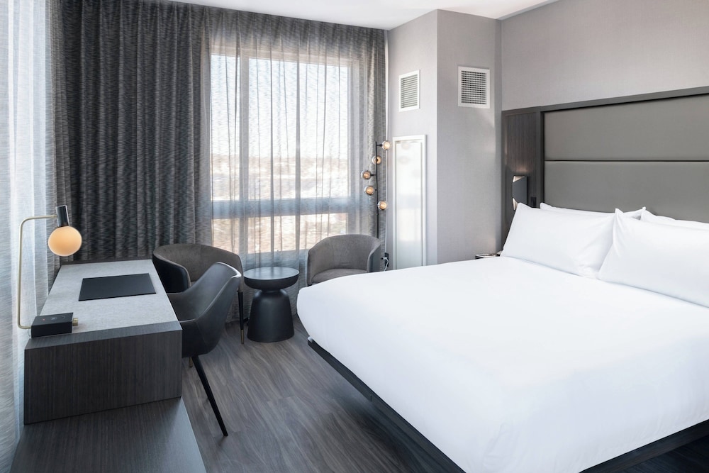 Suite, 1 King Bed with Sofa bed