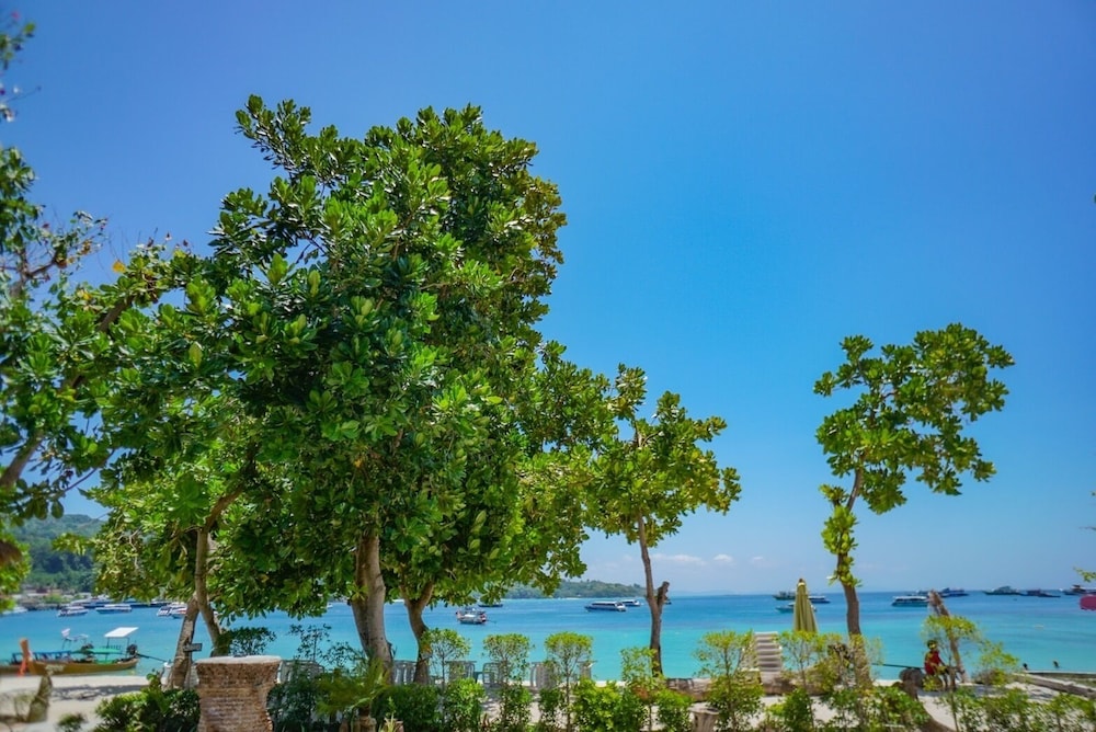 Garden Ocean Front photo 3