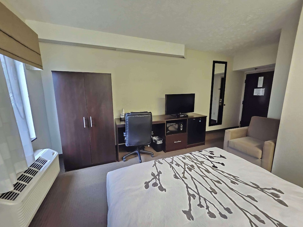 Standard Room, 1 Queen Bed, Accessible, Refrigerator & Microwave - Photo 2