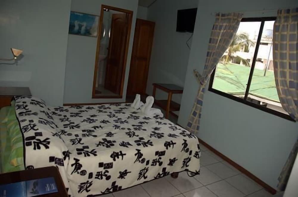 Single Room photo 1