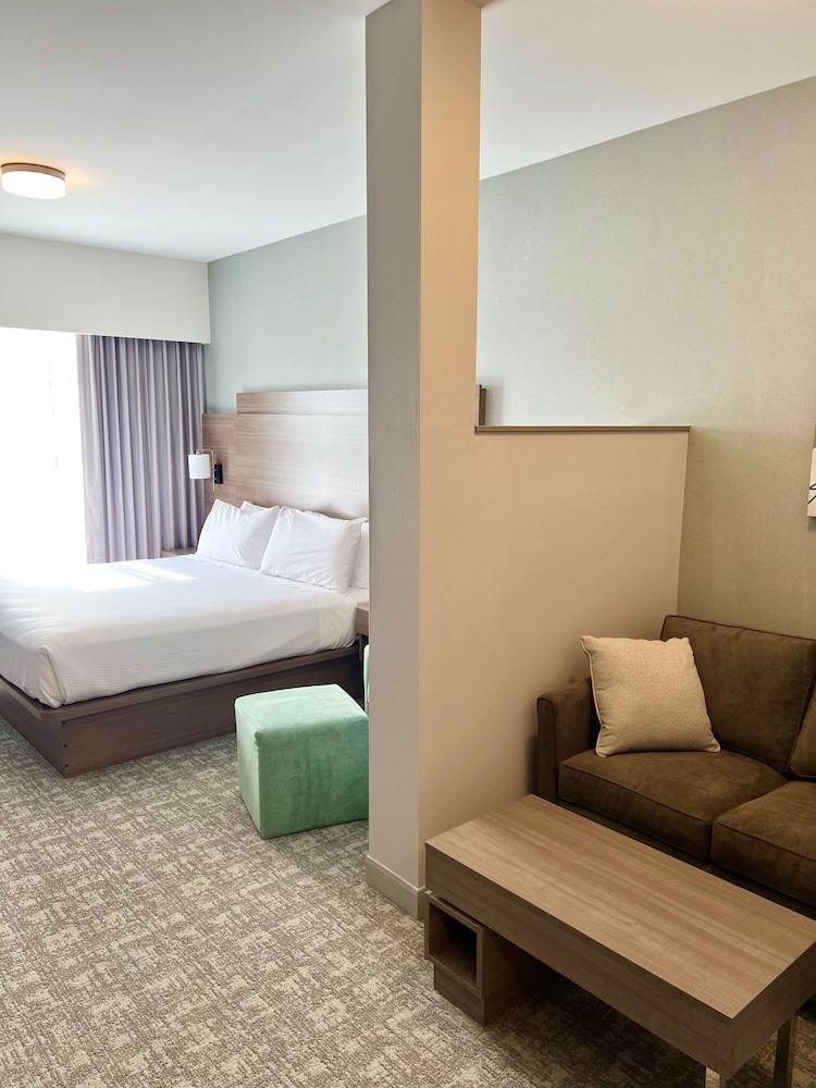 Standard Room, 1 King Bed, Non Smoking, Refrigerator & Microwave (with Sofabed) - Photo 7