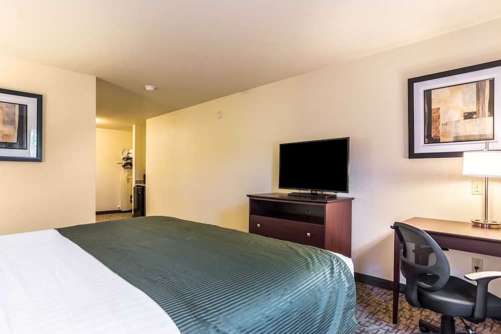 Studio, One King Bed with Sofa Bed, Accessible Benched Tub, Non Smoking photo 2