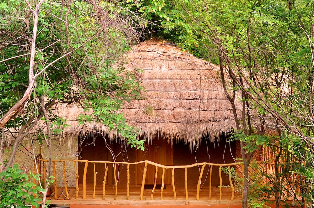 Clay House photo 2