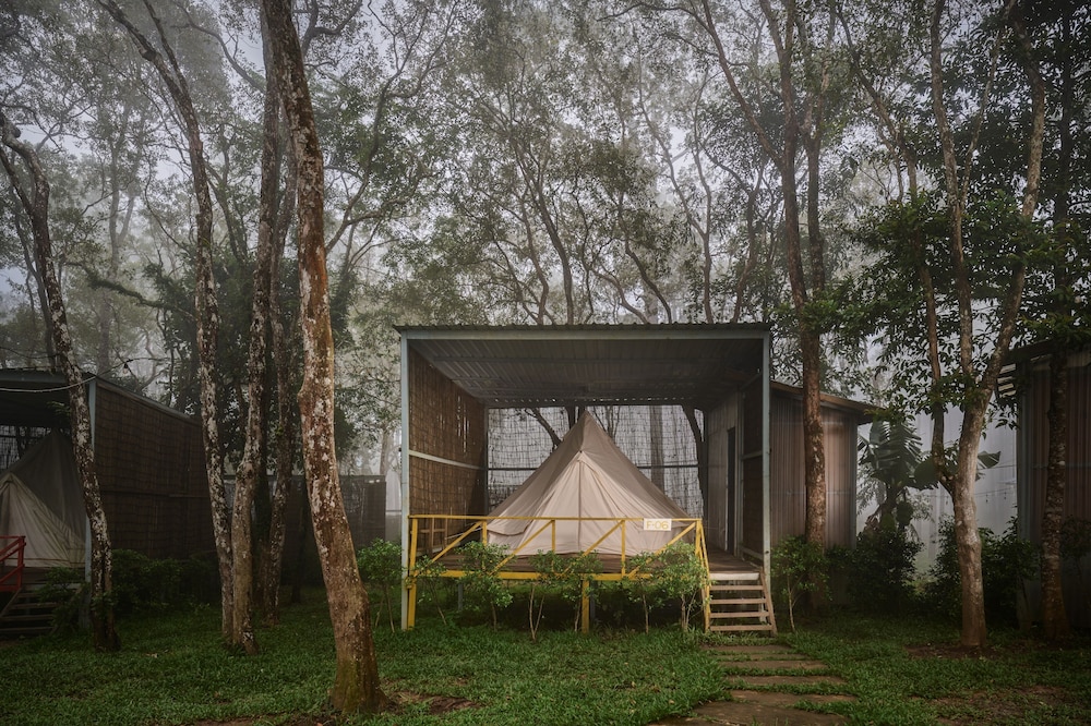 Deluxe Family Tent Garden View