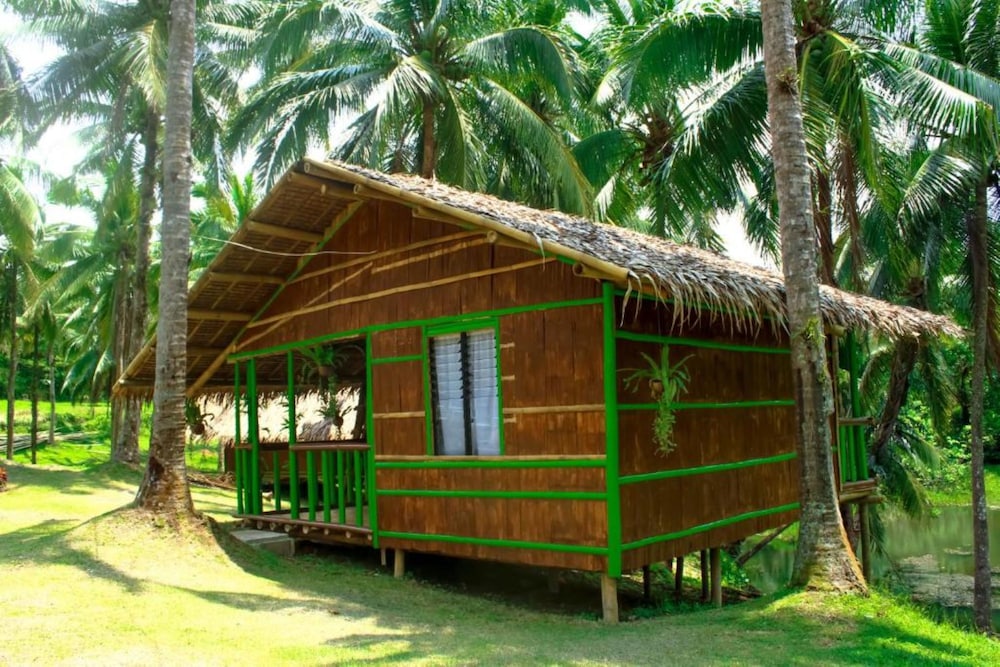 Premium Cabin photo 3