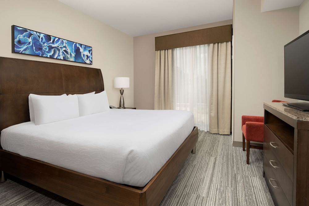 Room, 1 King Bed, Bathtub photo 2