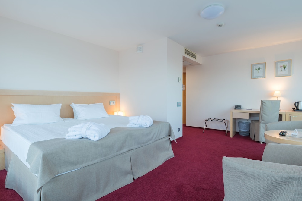 Deluxe Room - Photo 1