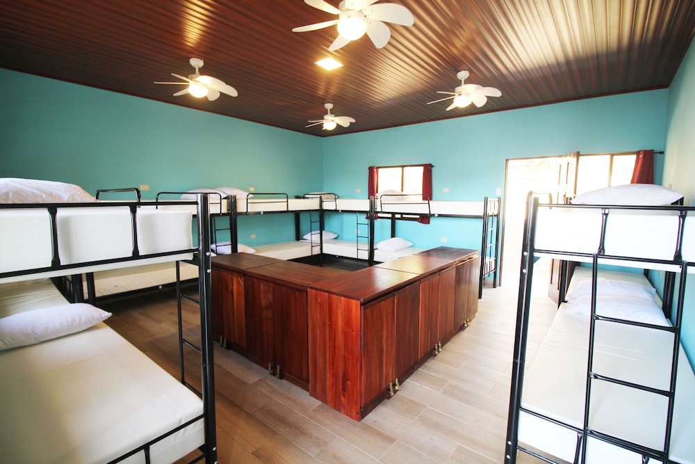Economy Shared Dormitory, Mixed Dorm, Shared Bathroom