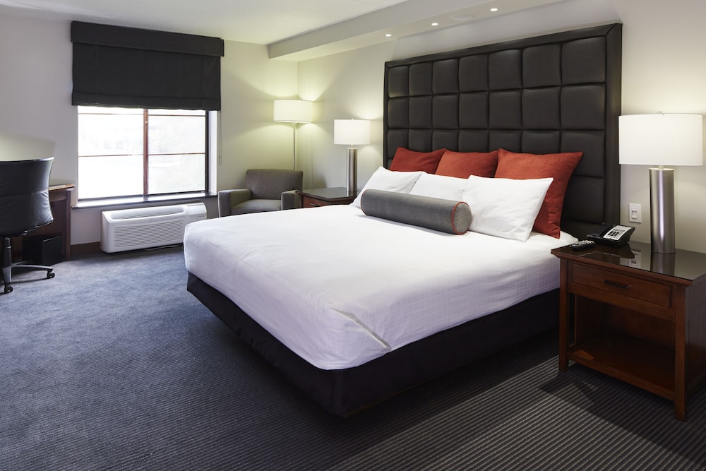 Room, 1 King Bed, Lakeside photo 1