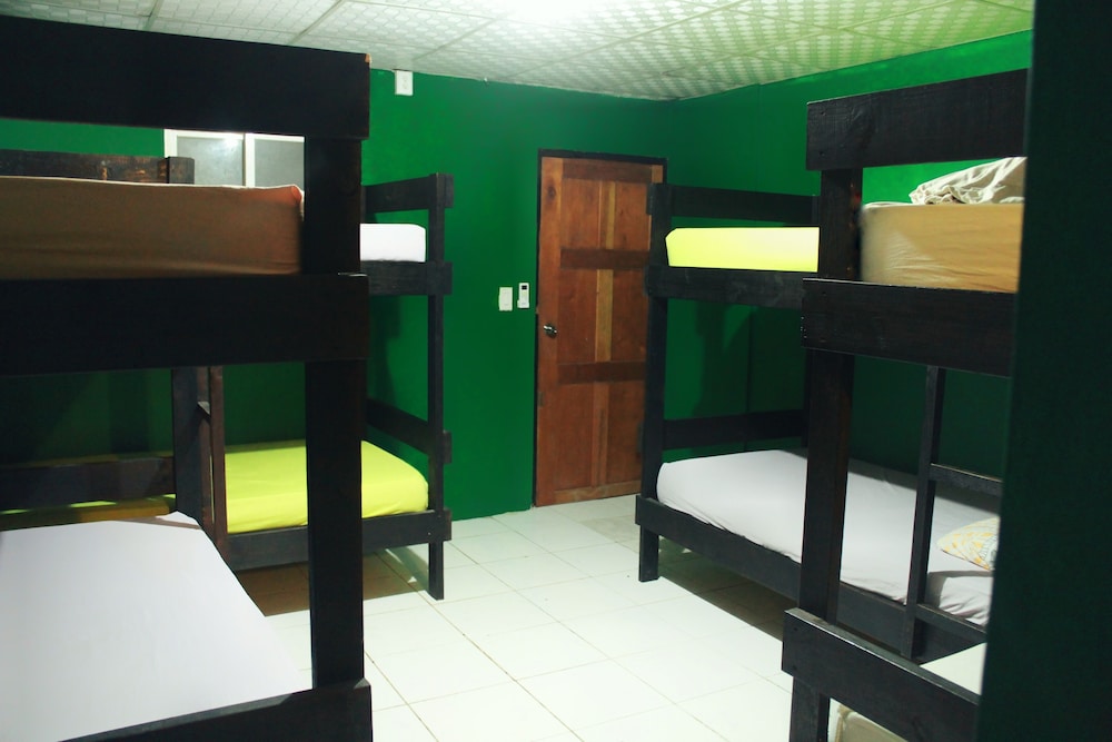 Basic Shared Dormitory photo 3
