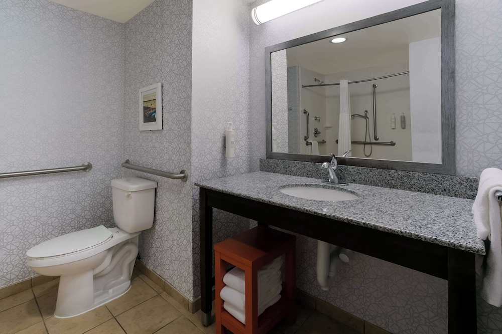 Room, 1 King Bed, Accessible (Mobility & Hearing, Roll-In Shower)
