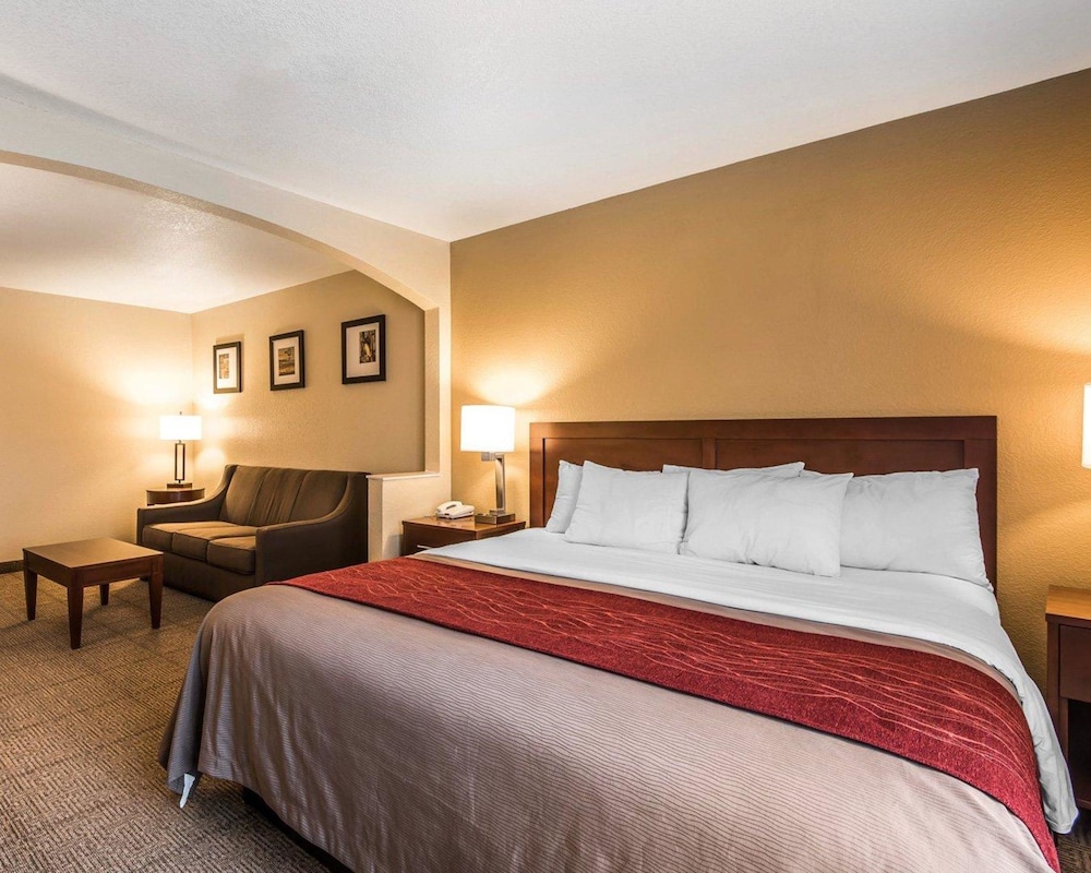 Suite, 1 King Bed, Non Smoking photo 3