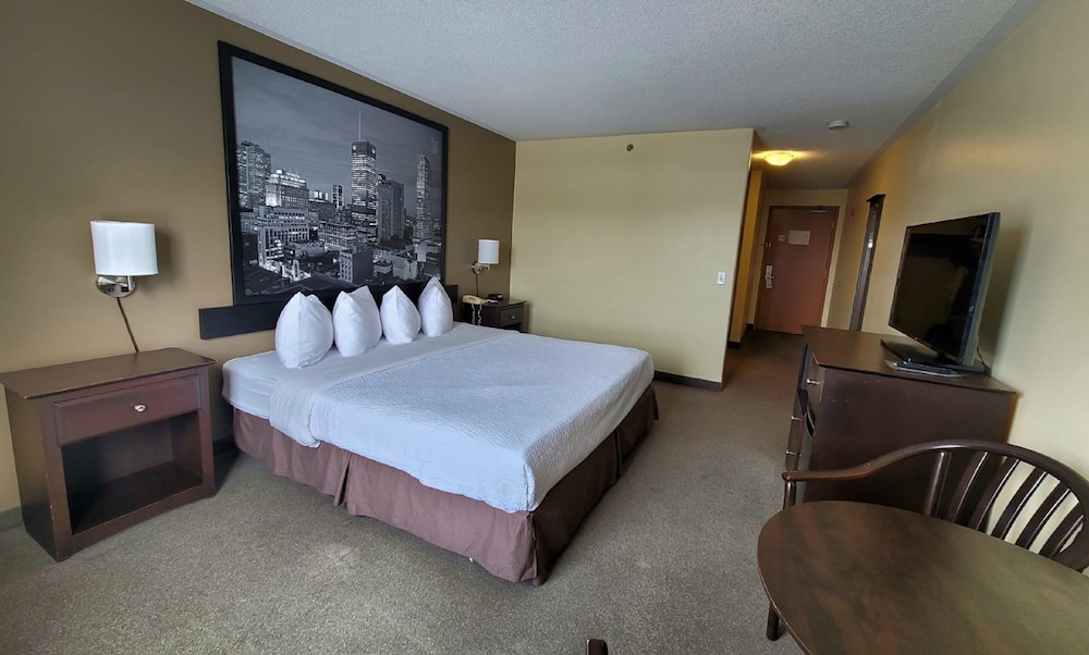 Standard Room, 1 King Bed photo 1