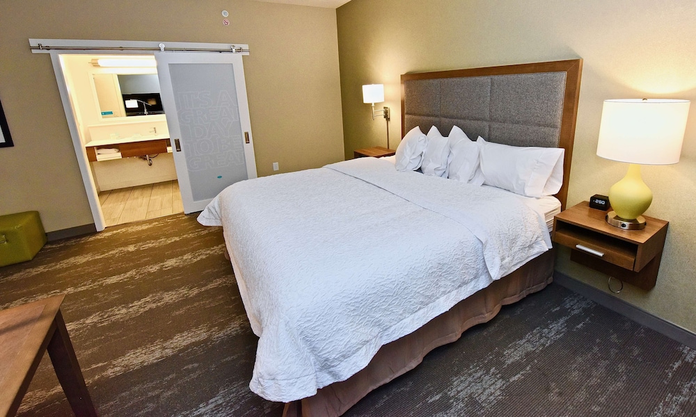 Studio, 1 King Bed, Accessible (Mobility & Hearing, Roll-in Shower) photo 3