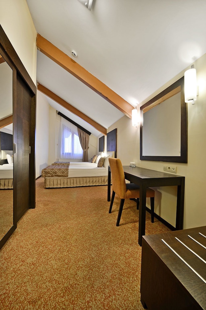 Deluxe Double or Twin Room photo 2
