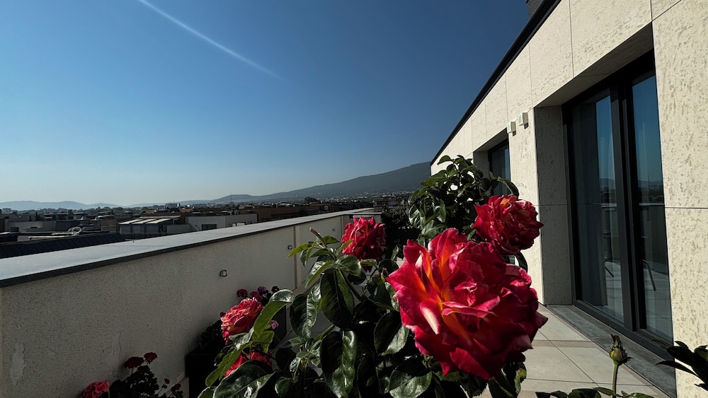 Panoramic Studio Suite, Balcony, Mountain View photo 2