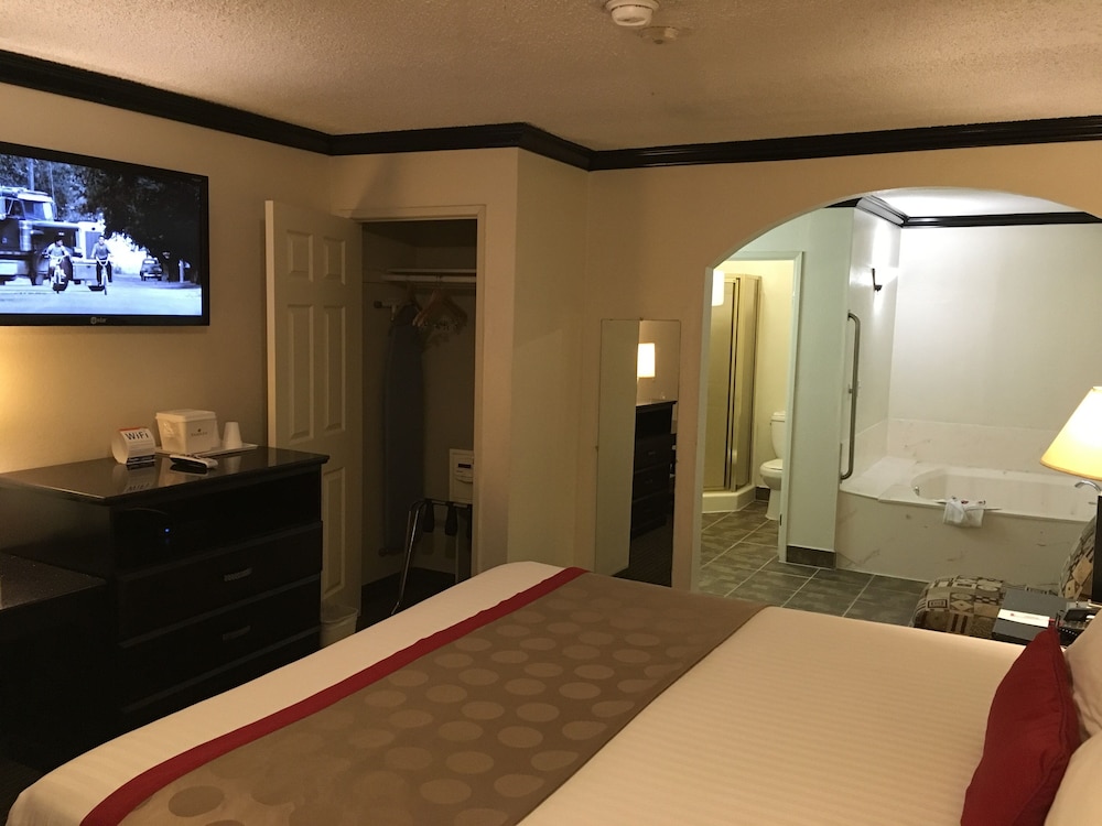 Deluxe Studio Suite, 1 King Bed, Non Smoking, Jetted Tub photo 2