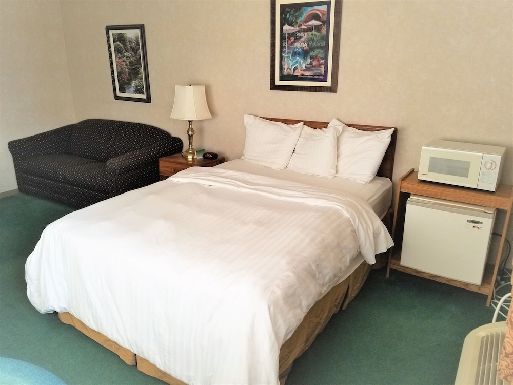 Deluxe Single Room, 1 Queen Bed, Accessible, Refrigerator & Microwave photo 2