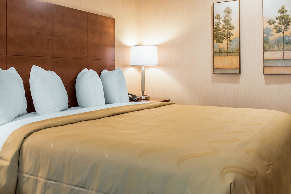 Standard Room, 1 King Bed with Sofa bed, Non Smoking (No Pets) photo 2