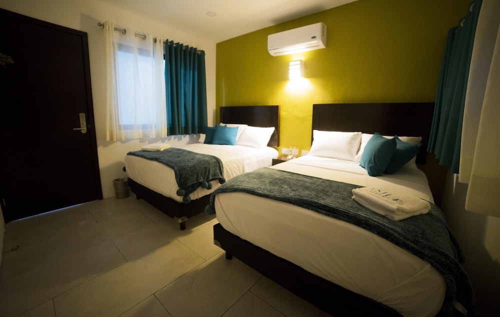 Basic Room, 2 Double Beds photo 2