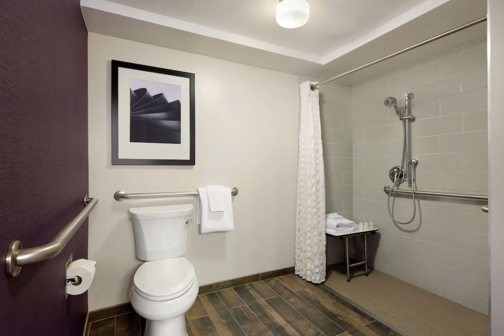 Suite, 1 King Bed, Accessible (Roll-in Shower) - Photo 4