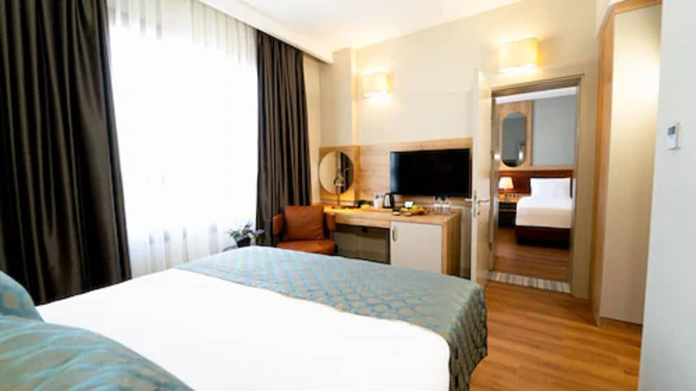 Deluxe Double or Twin Room photo 1
