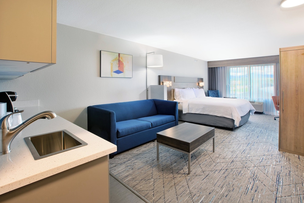 Suite, 1 King Bed, Accessible (Mobility, Accessible Tub) - Photo 2