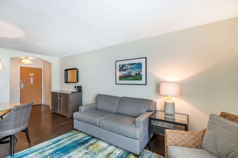 Suite, 1 King Bed, Non Smoking, Refrigerator & Microwave - Photo 16