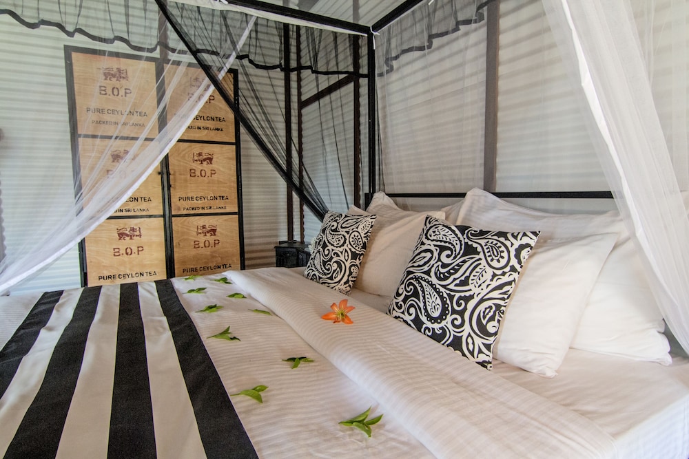 Deluxe Room, Mountain View photo 2
