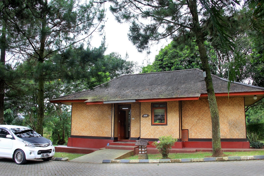 Junior Suite Bungalow photo 2