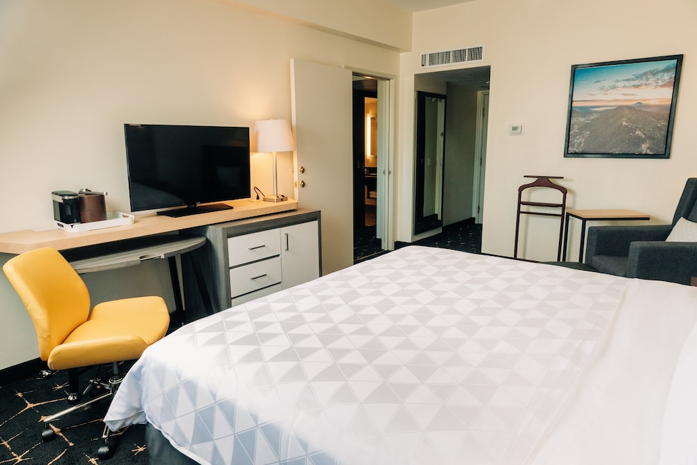 Suite, 1 King Bed - Photo 6