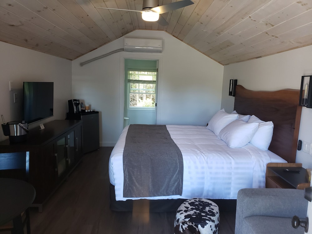 Premium Cabin - Photo 4